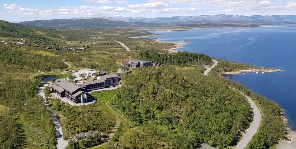 Skinnarbu sommer Galleribilde