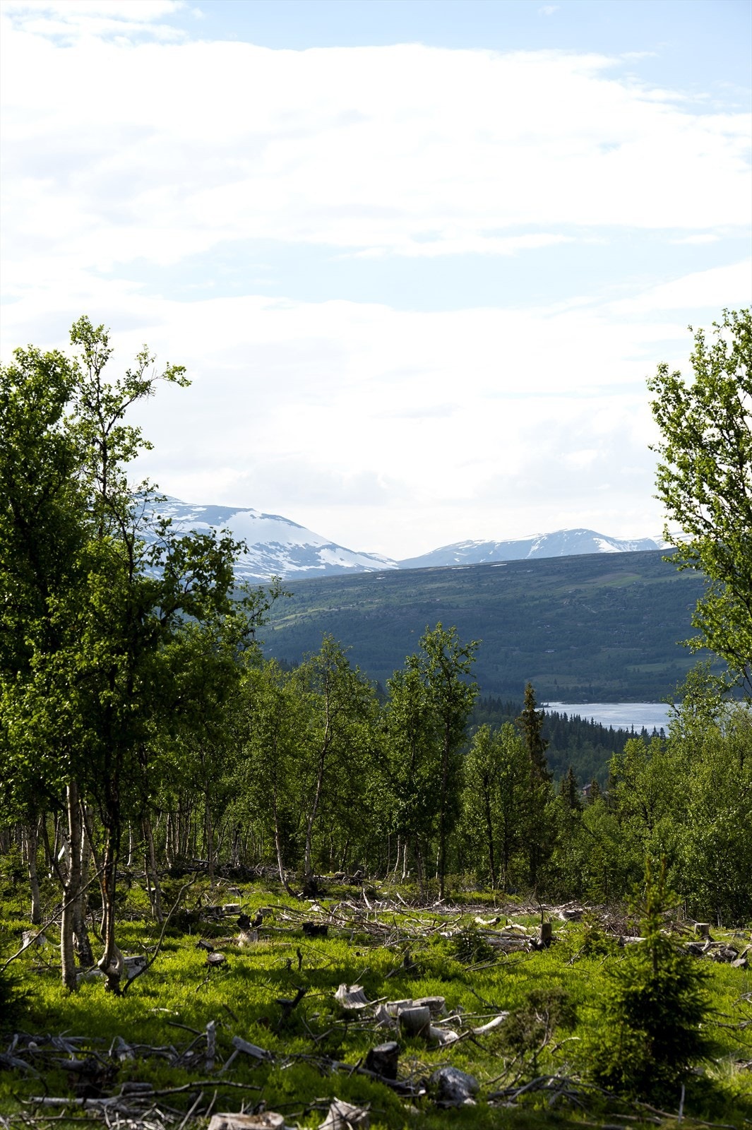 Utsiktstomt mot fjell og fjord Galleribilde