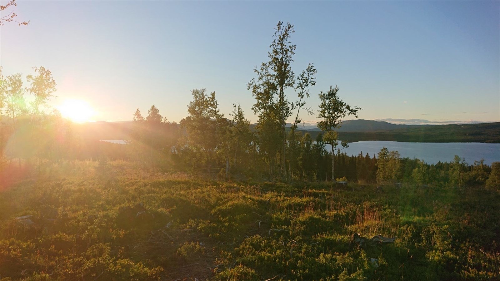 Selgers bilde. Solnedgang. Galleribilde