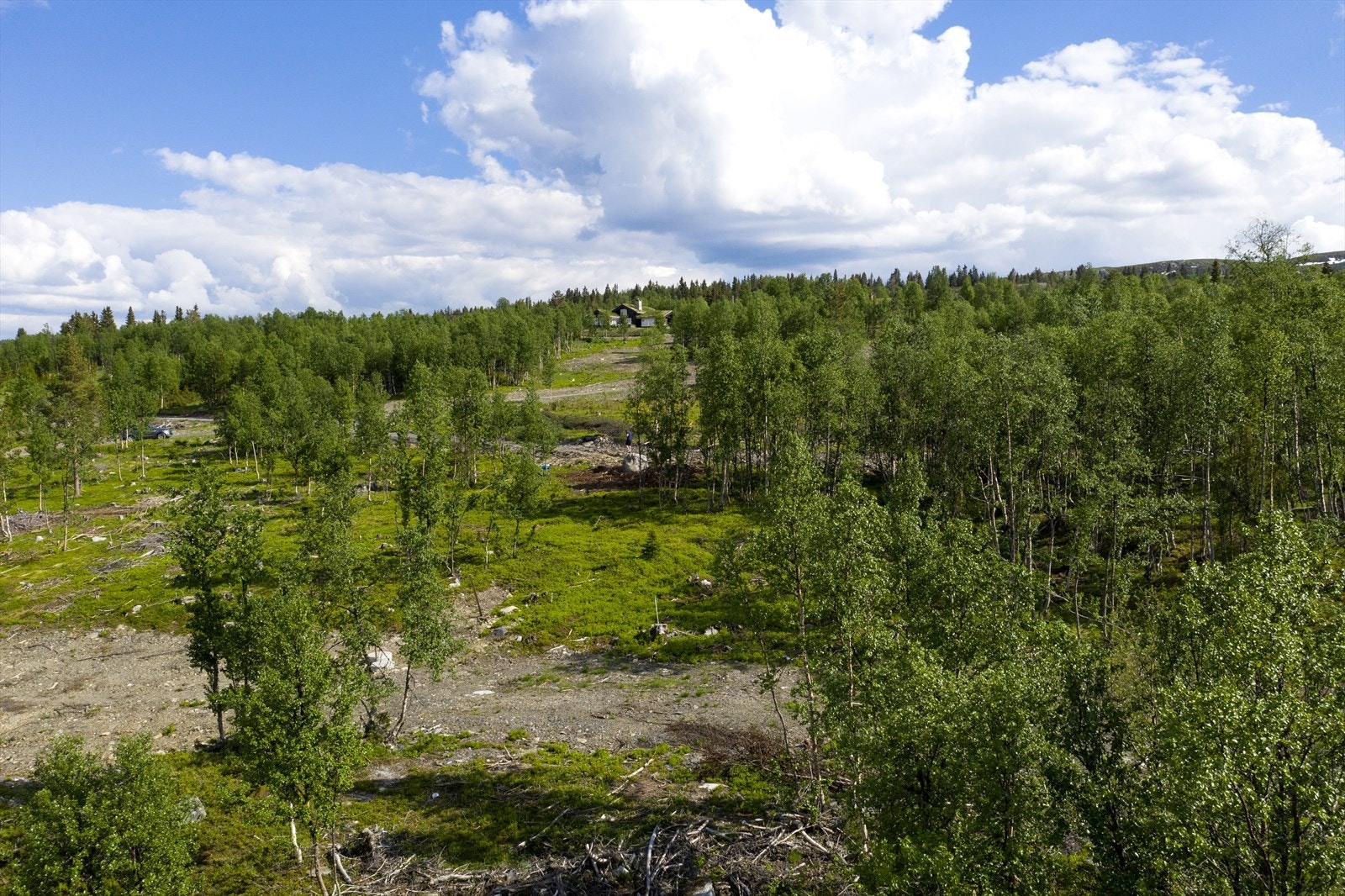Tomten er på ca 1013 kvm Galleribilde