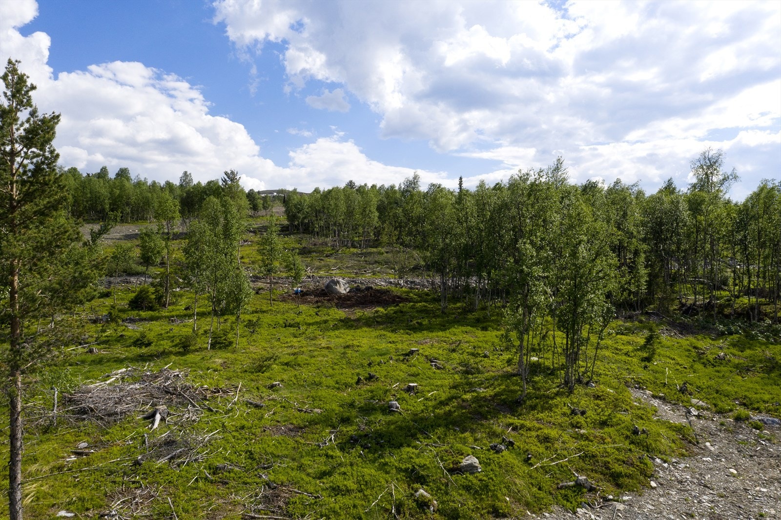 Bilde av tomten Galleribilde