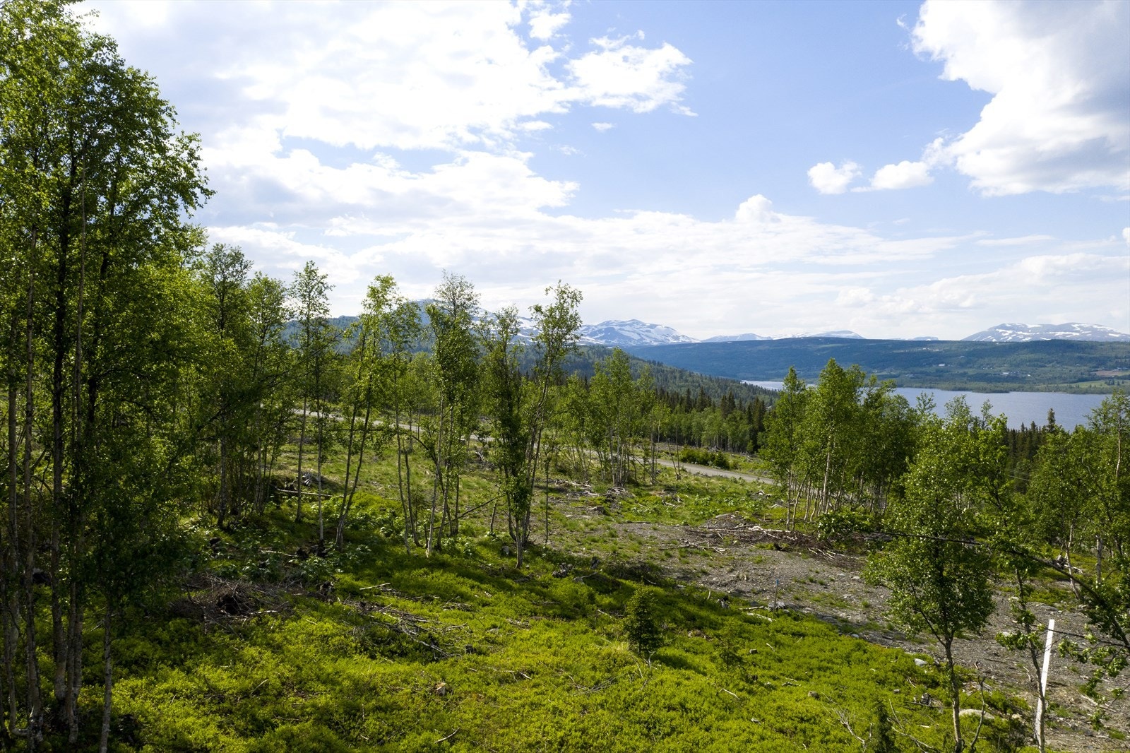 Fra tomten er det storslått utsikt
mot Skogshorn og resten av Hemsedalsfjellene, Jotunheimen
og Tisleiafjorden, samt meget gode solforhold. Galleribilde