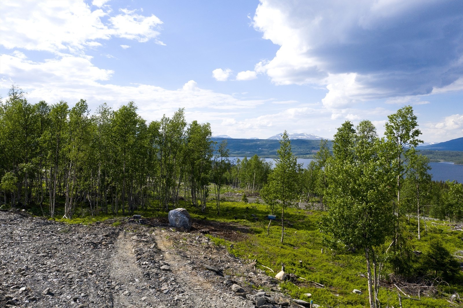 Tomten ligger på Golsfjellet Vest i område med hyttebebyggelse ca. 900 moh. Galleribilde