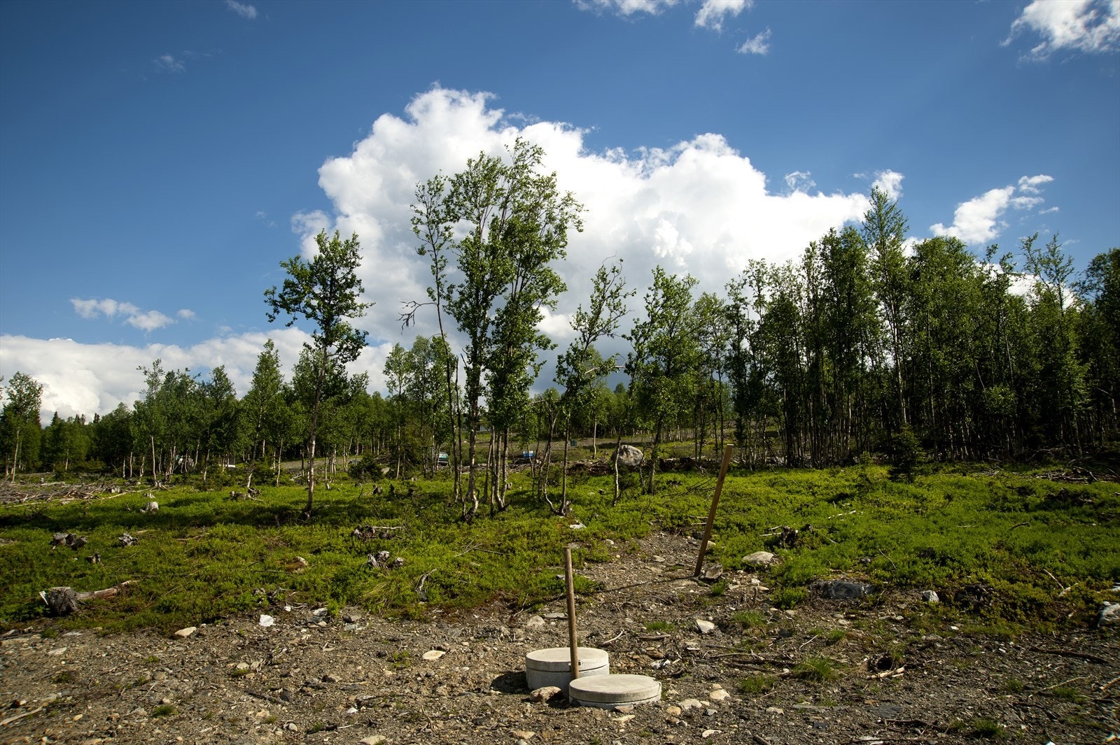 Det er lagt vei, vann og avløp frem til tomten. Galleribilde