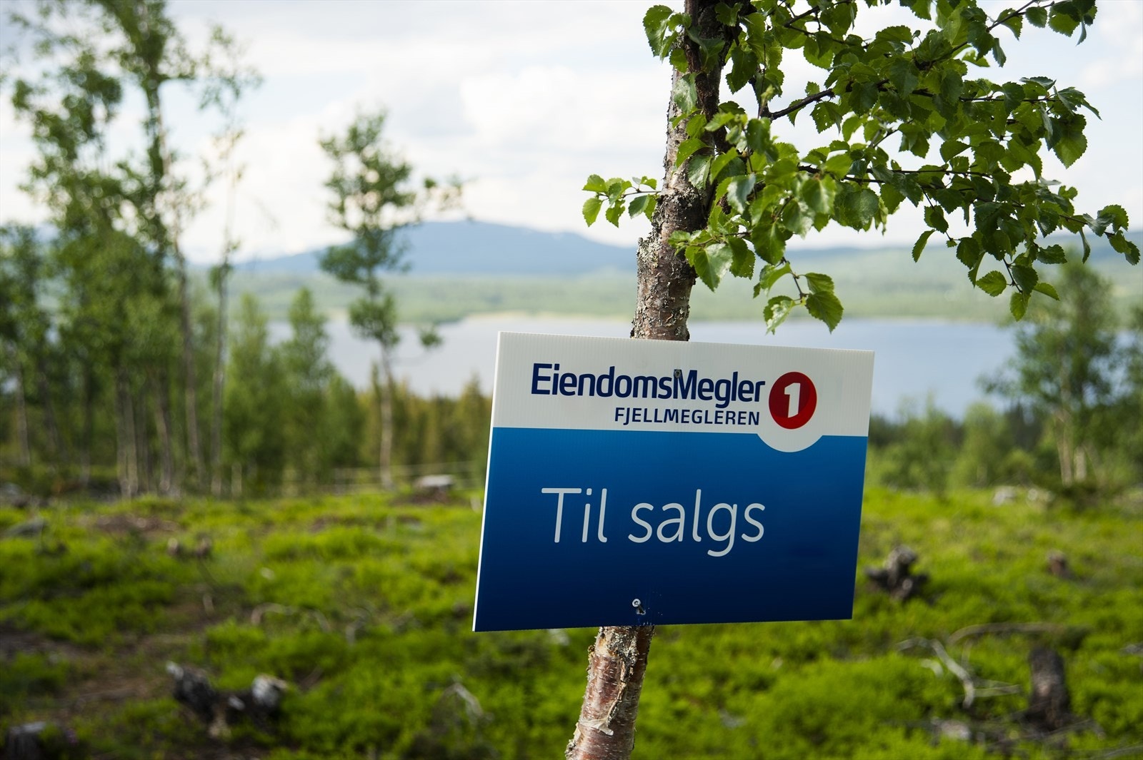 Selger driver et lokal snekkerfirma og setter opp mye hytter i Hallingdal. Galleribilde