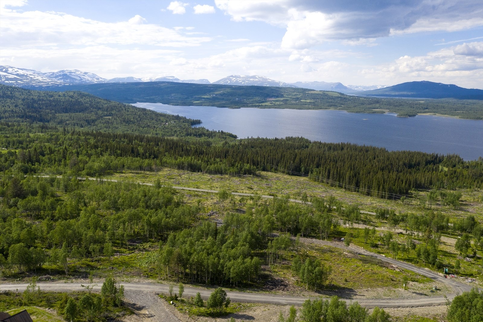 Golsfjellet kan tilby fantastiske skiløyper, sykkelstier og gåturer. Galleribilde
