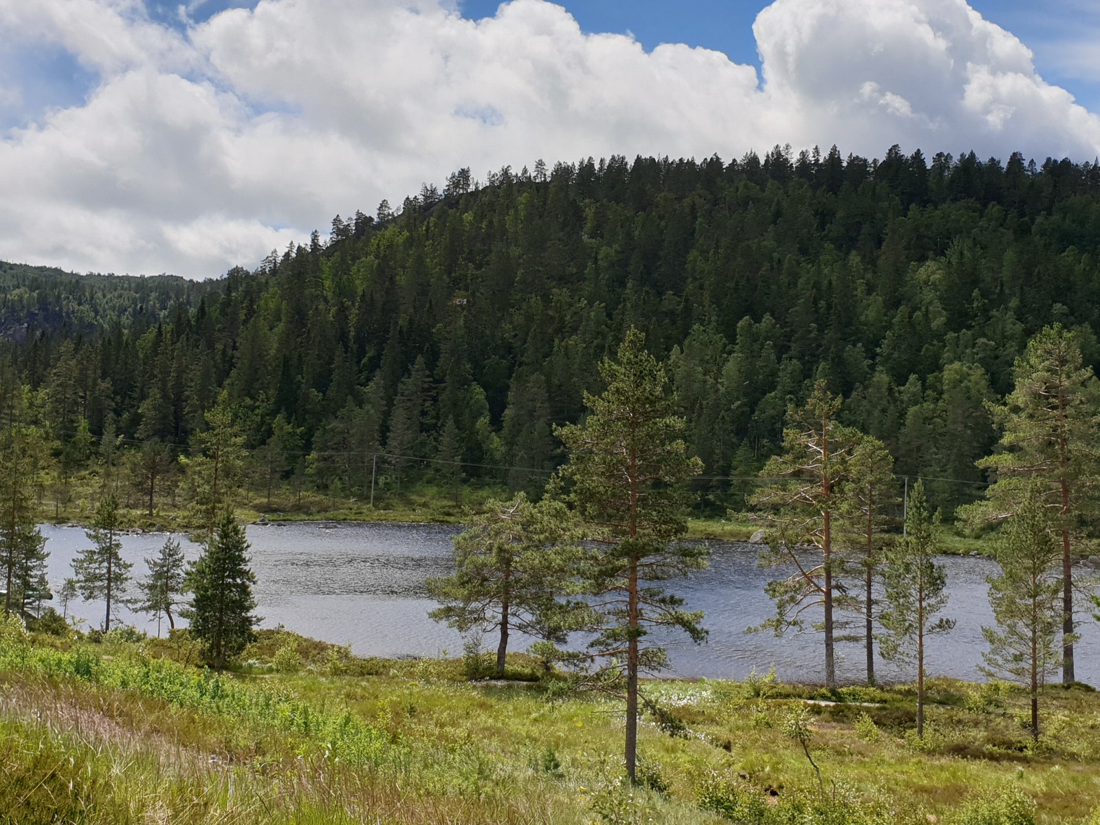 Bilde fra området Galleribilde