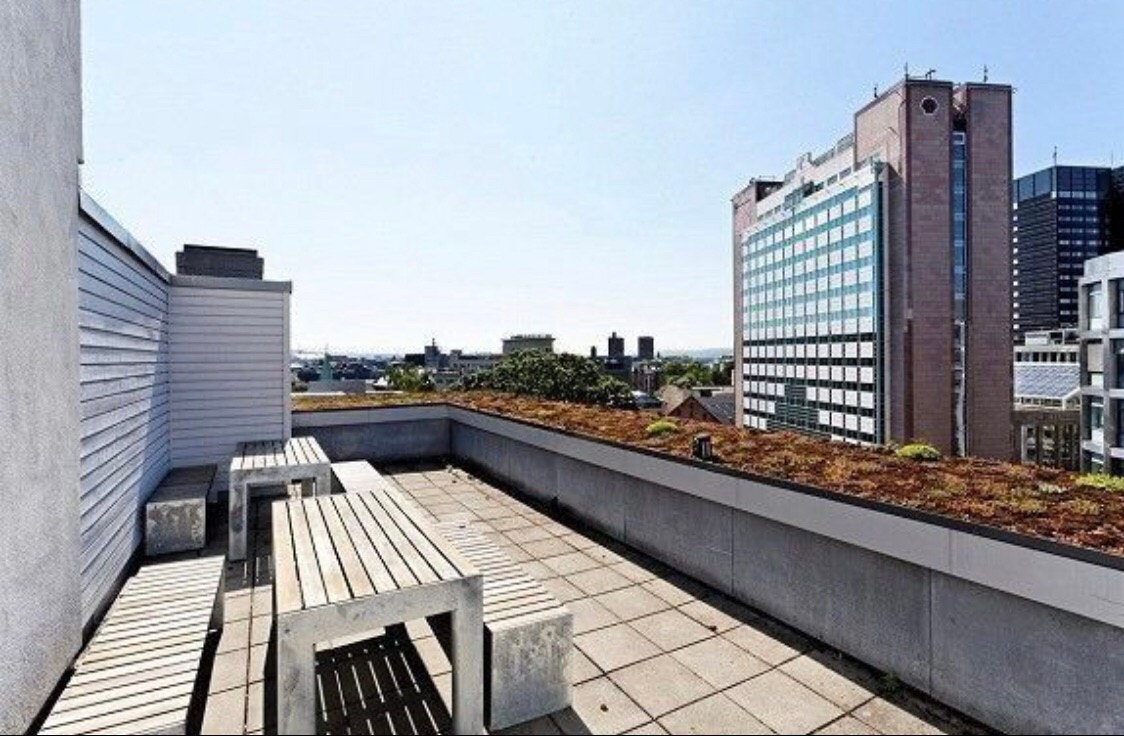 Felles takterrasse Galleribilde