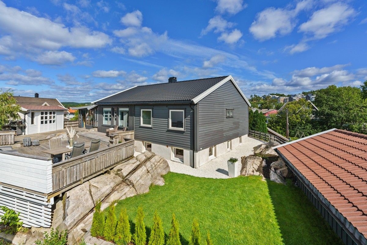 Boligen fra syd Galleribilde