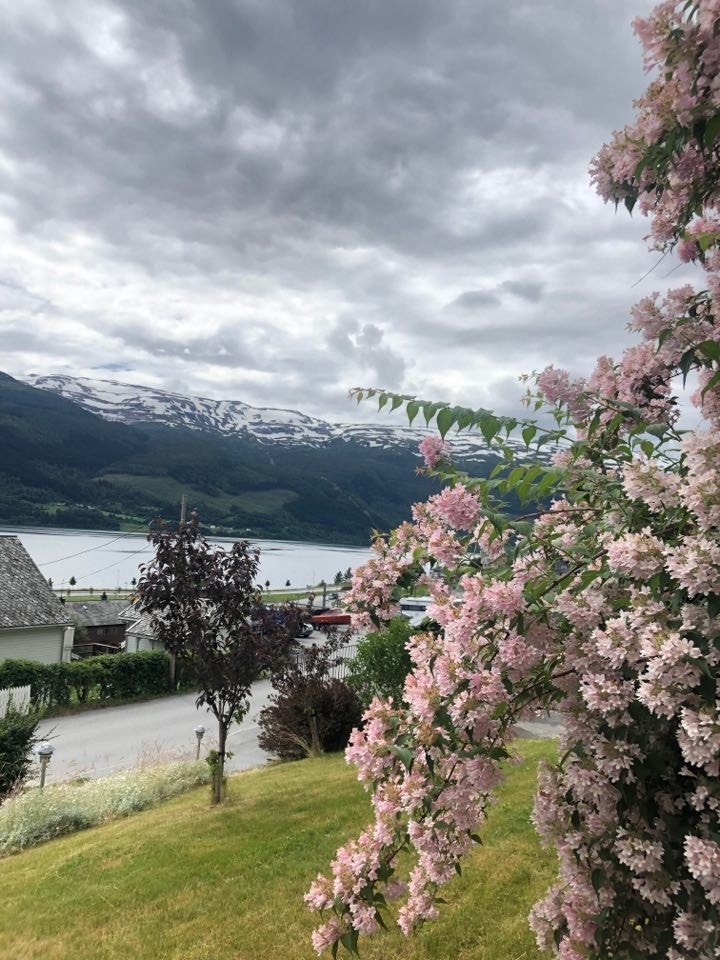 Fra hagen med tre og blomster Galleribilde