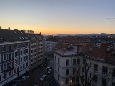 Felles takterrasse Galleribilde