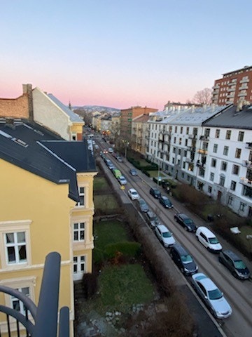 Fra takterrassen Galleribilde