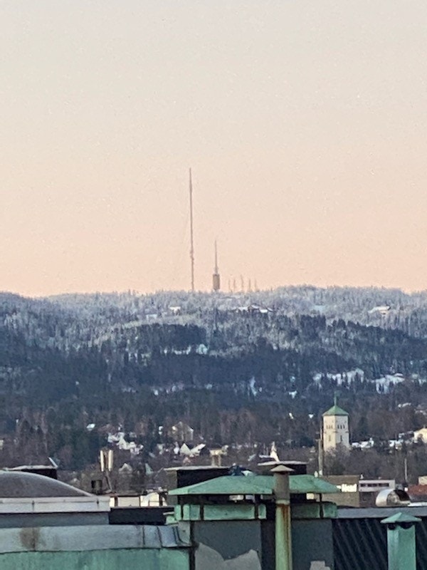 Fra takterrassen Galleribilde