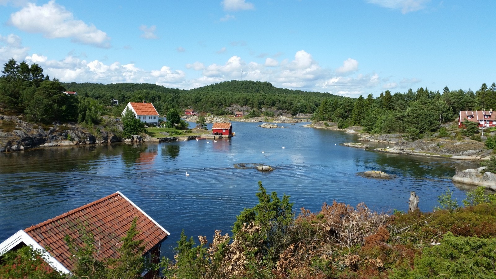 Nærområde. Galleribilde