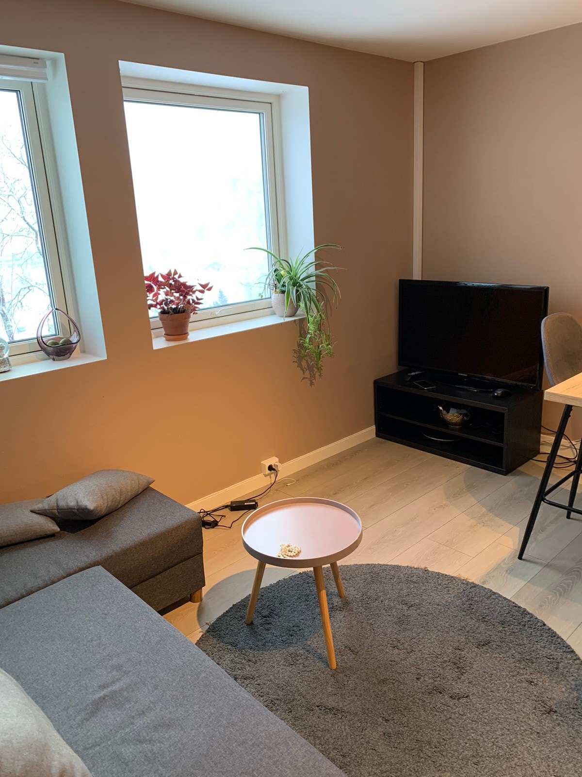 Stuedel med tv Galleribilde