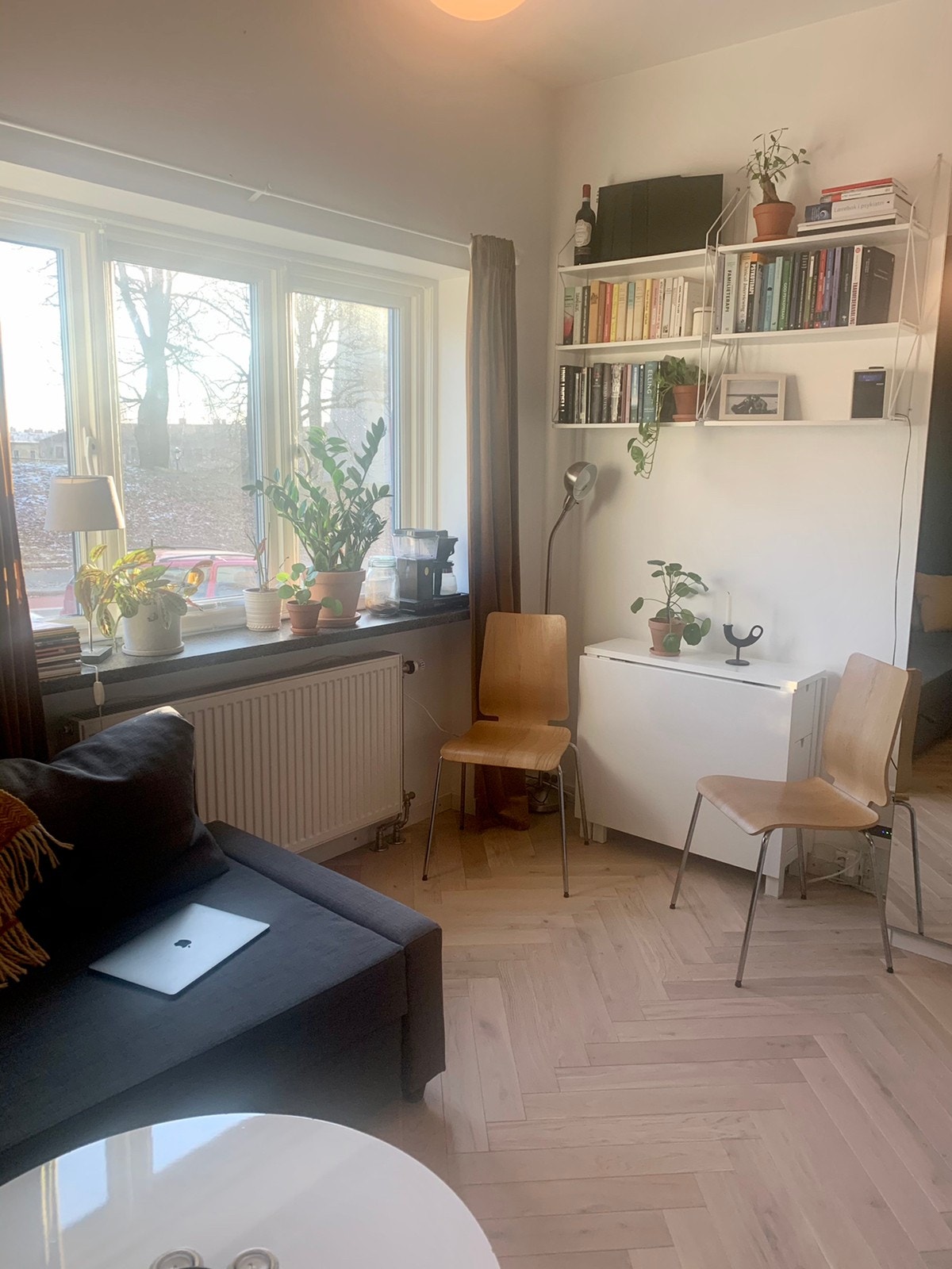 Fin utsikt mot Torshov Kirkepark. Bordet, vegghyller, sovesofa og garderobeskap følger med. Galleribilde