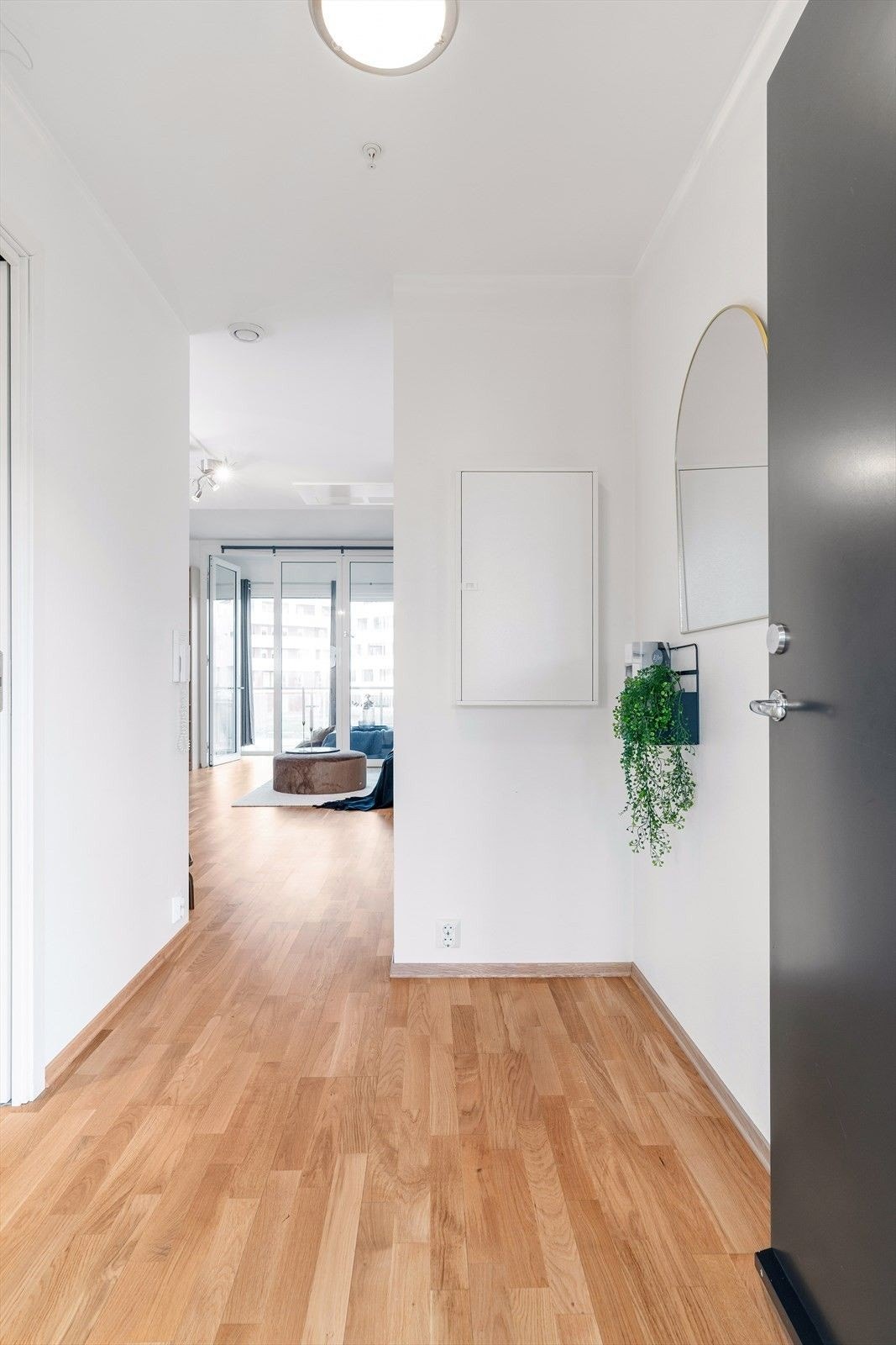 Hallway / Gang Galleribilde