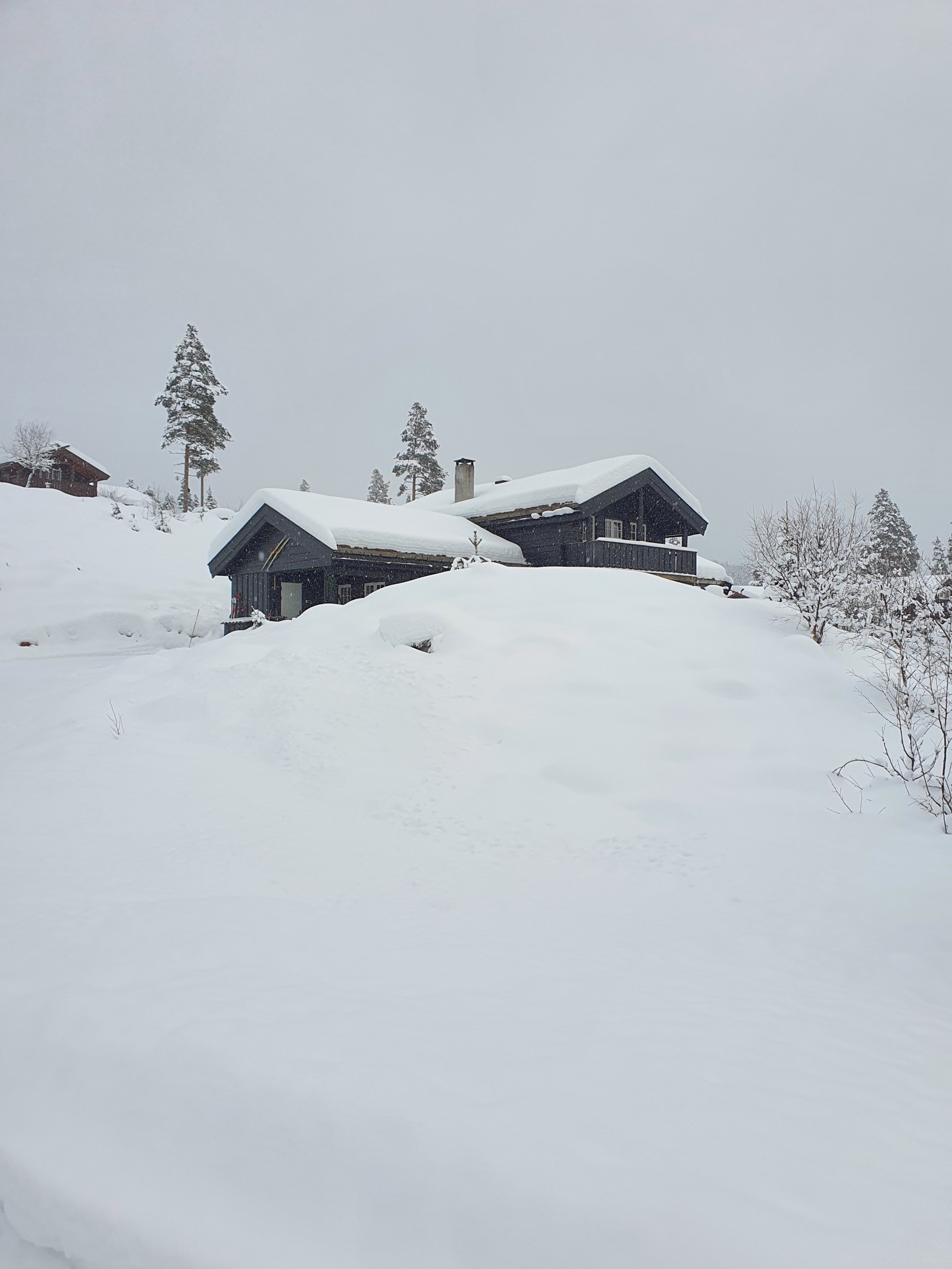 Julen 2020 Galleribilde