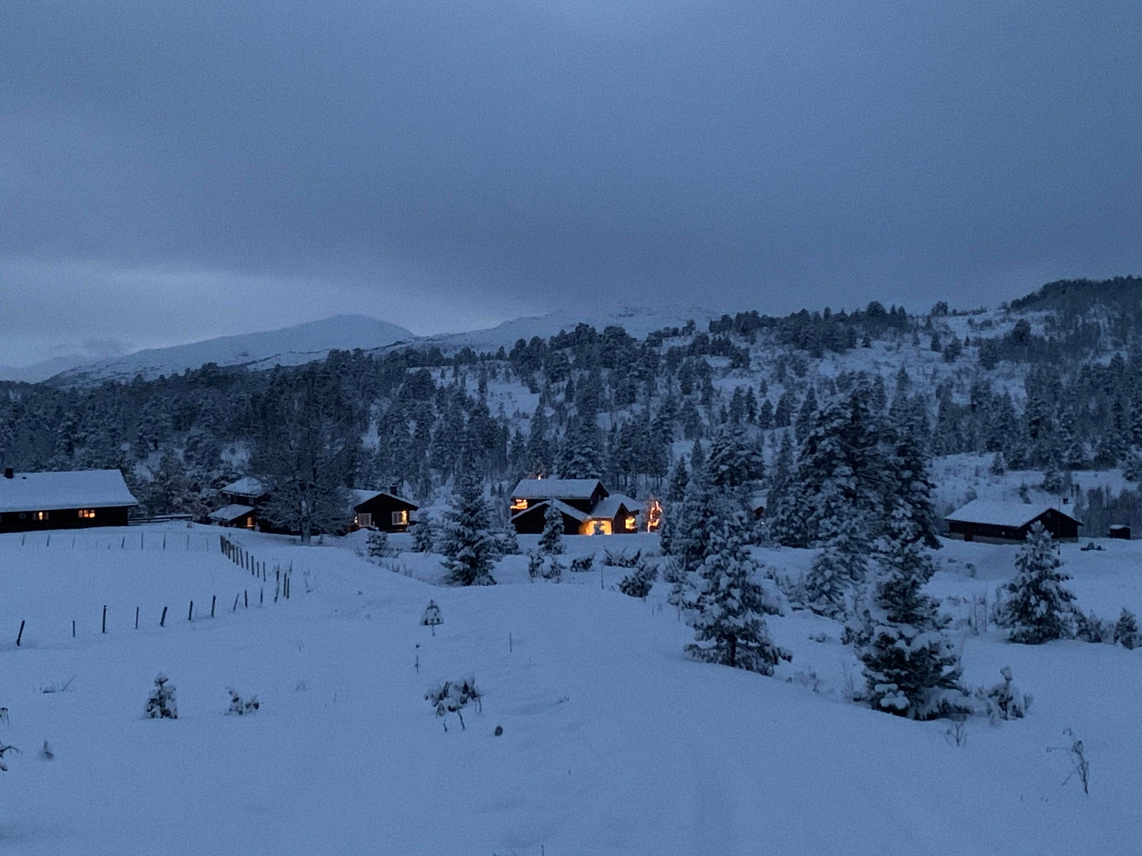 10. januar 2021 Galleribilde