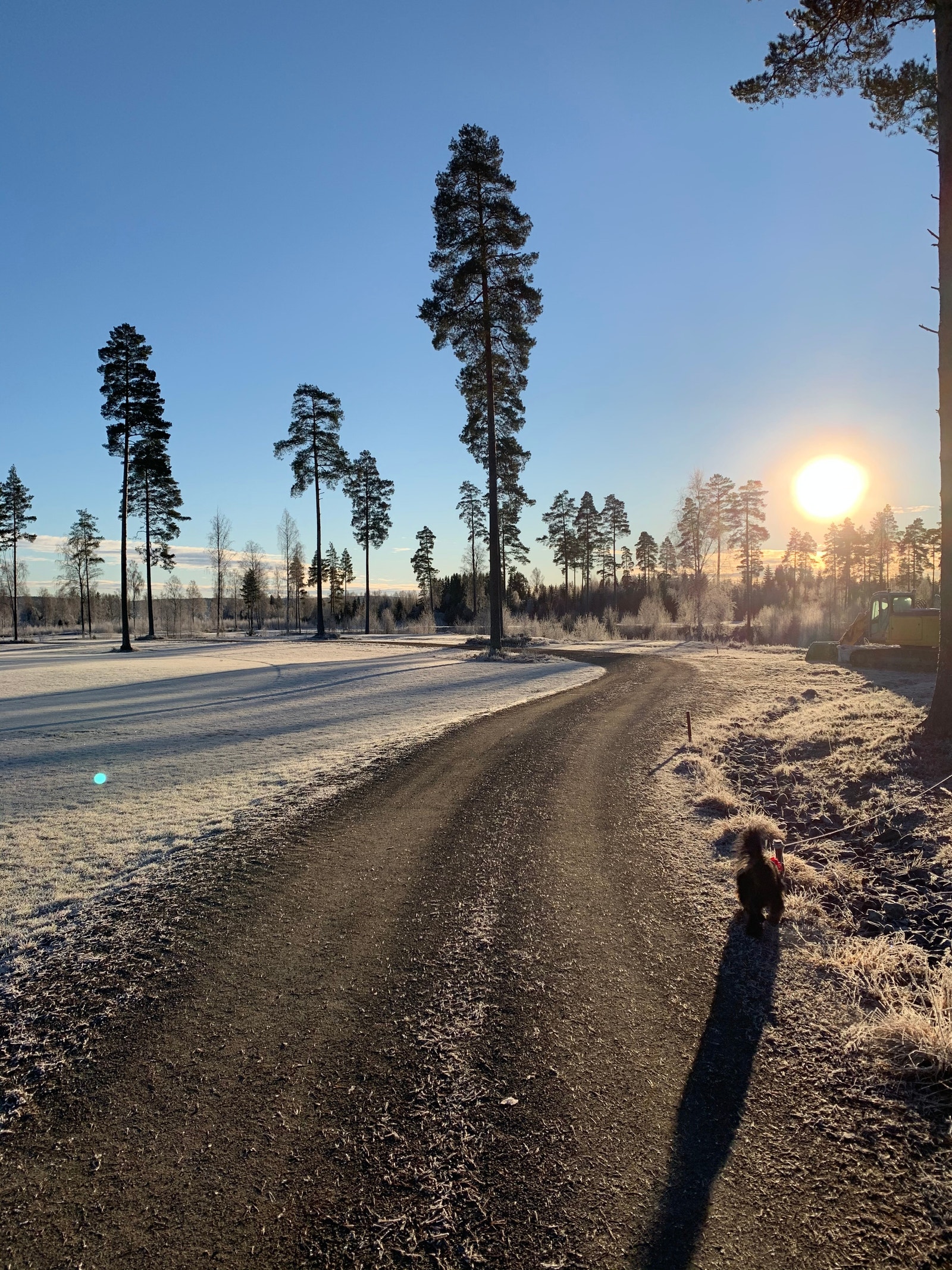 Kort vei til turterreng Galleribilde