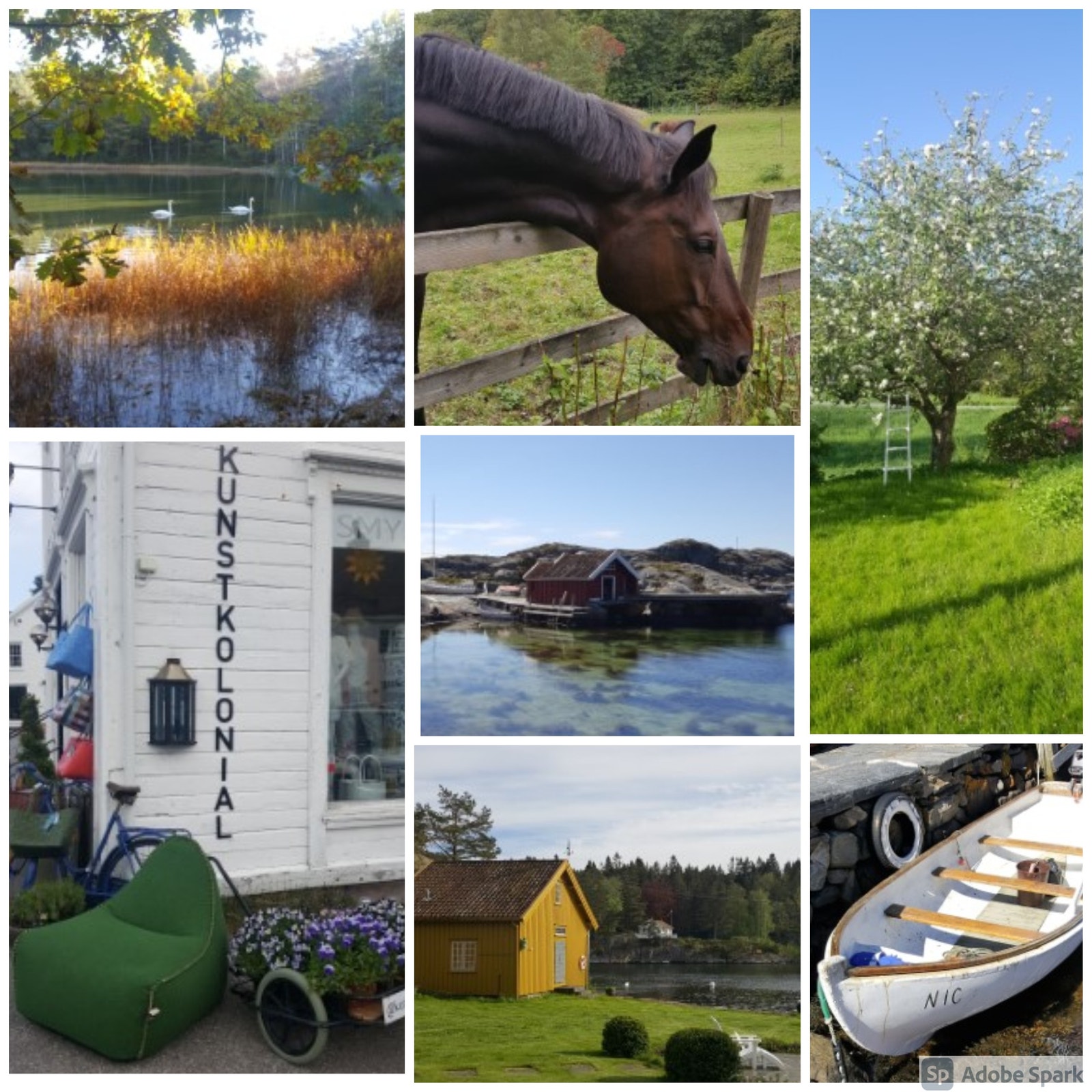Idyllisk i Høvåg Galleribilde