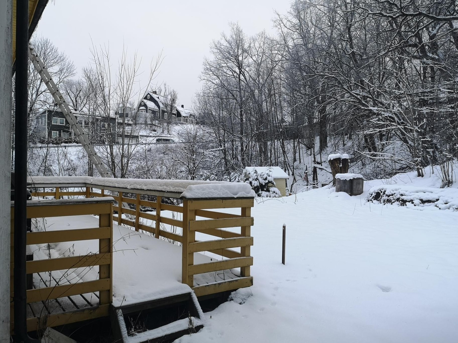 Bakside av hus Galleribilde