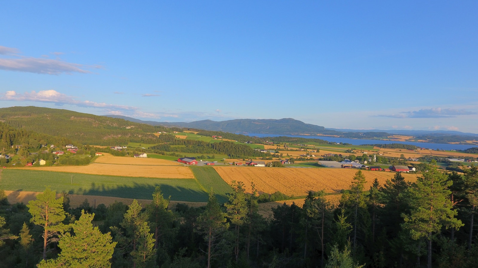 Tomt 7 - 1377 kvm Galleribilde