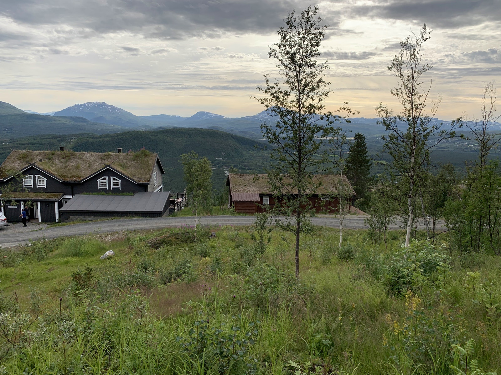 Tomten er ryddet for skog. Galleribilde