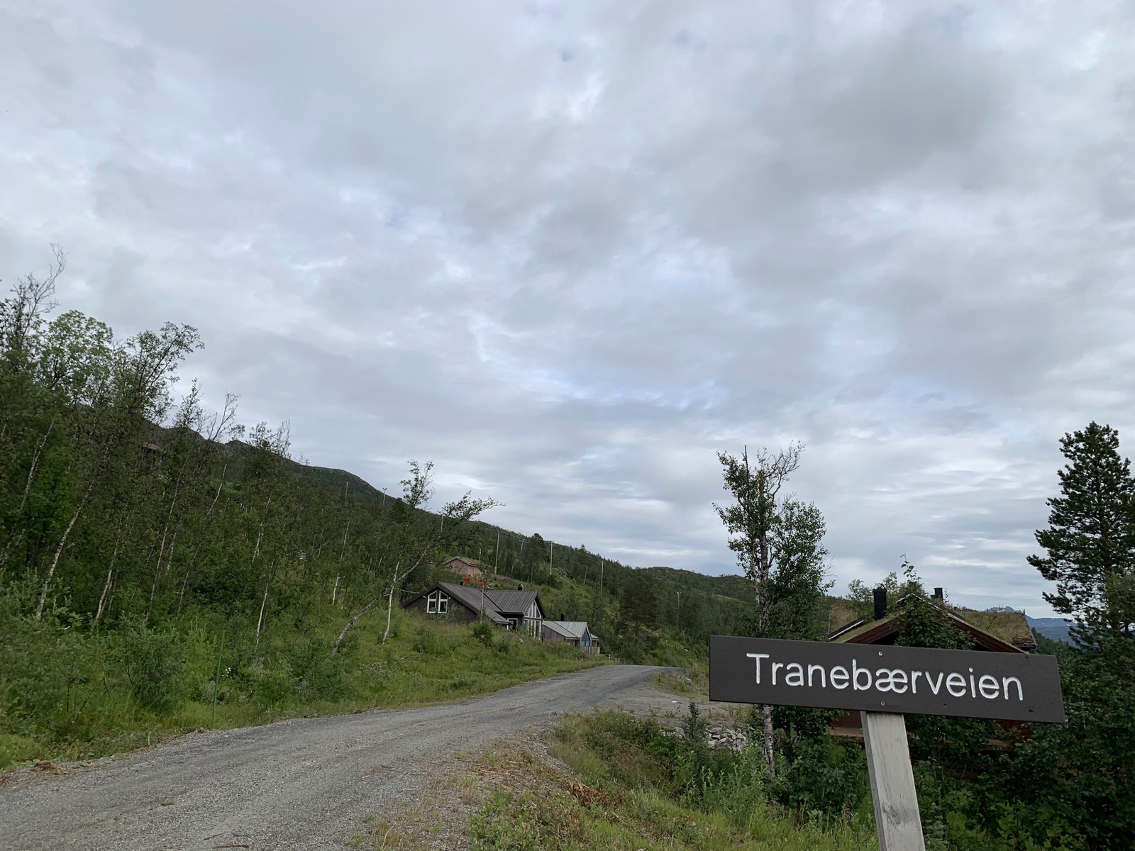 Velkommen til Tranebærvegen - kort adkomst, ligger høyt i terrenget Galleribilde