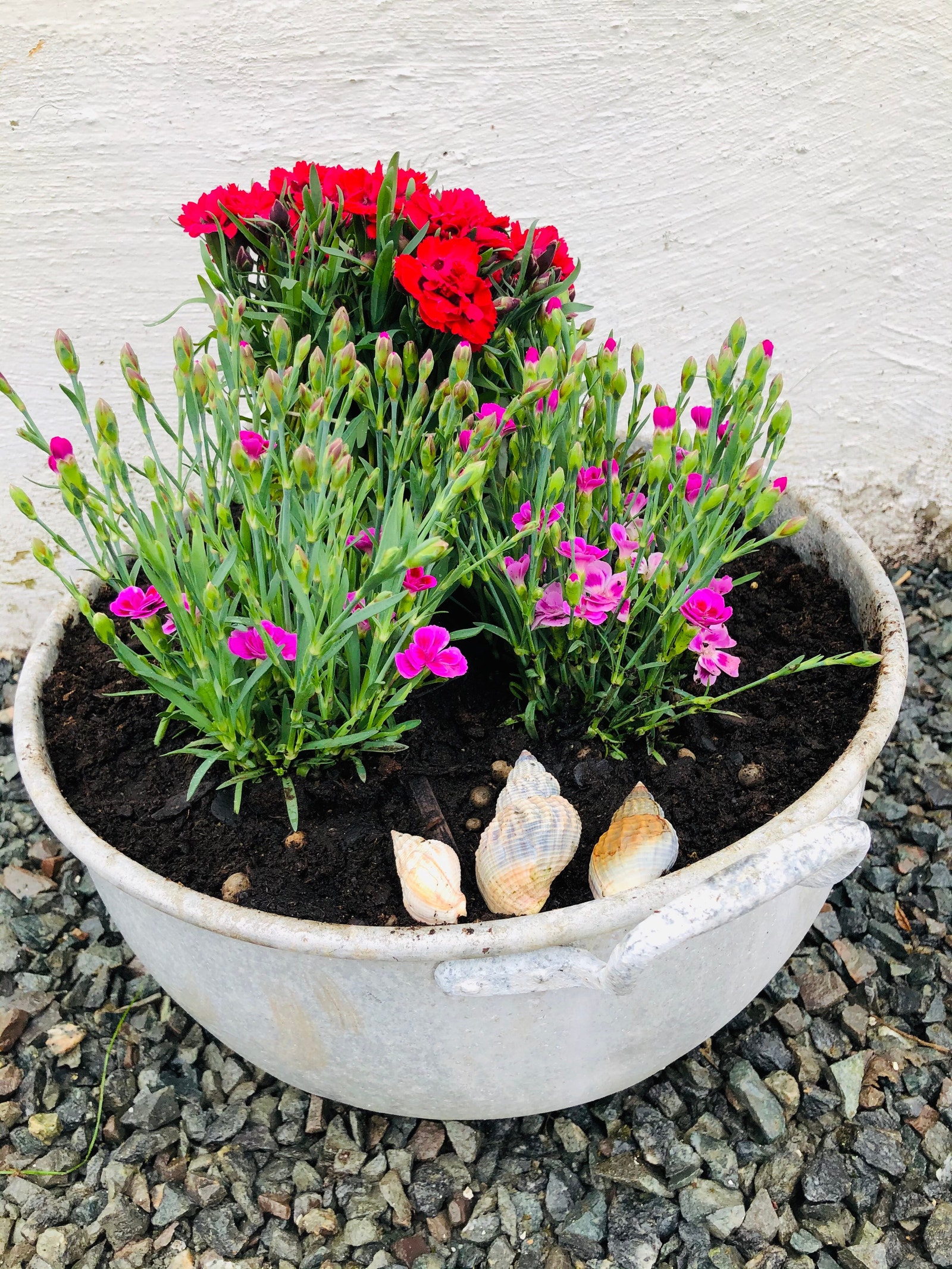 Uteområdet Galleribilde