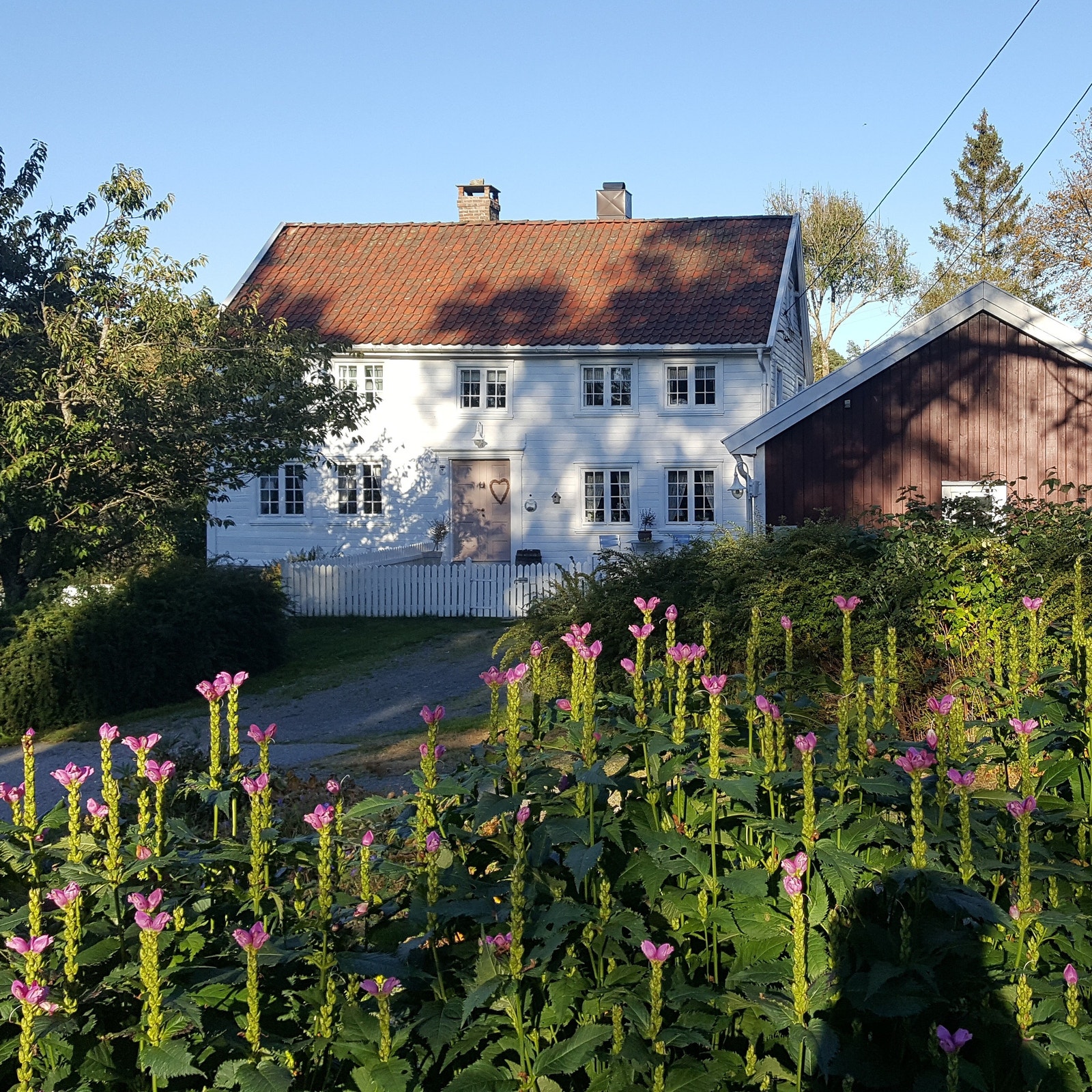 Huset sett fra kirken Galleribilde