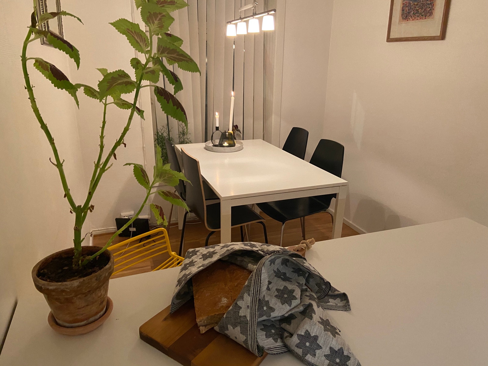 Stilig kjøkken med god plass til spisebord. Galleribilde