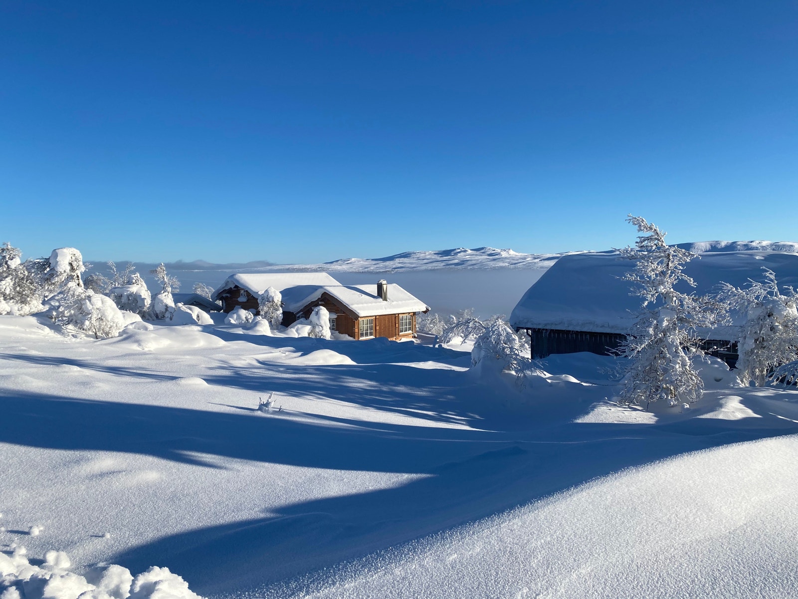 Bilde fra skiløypa Galleribilde