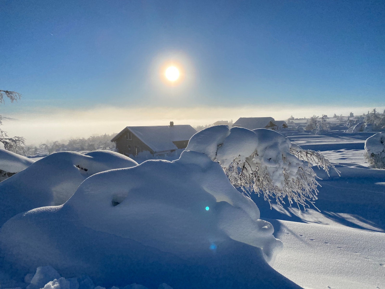 Tapptjern Hyttefelt Galleribilde