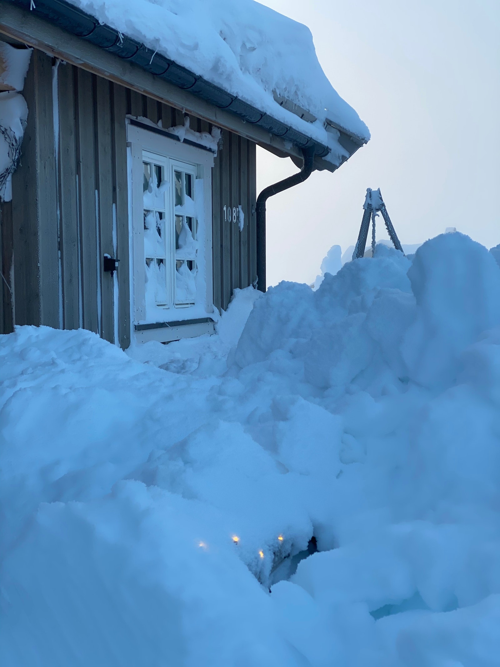 Snøsikre forhold på høyfjellet Galleribilde