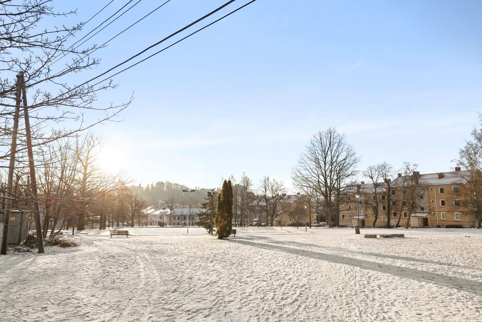 Lunden park ved boligen Galleribilde