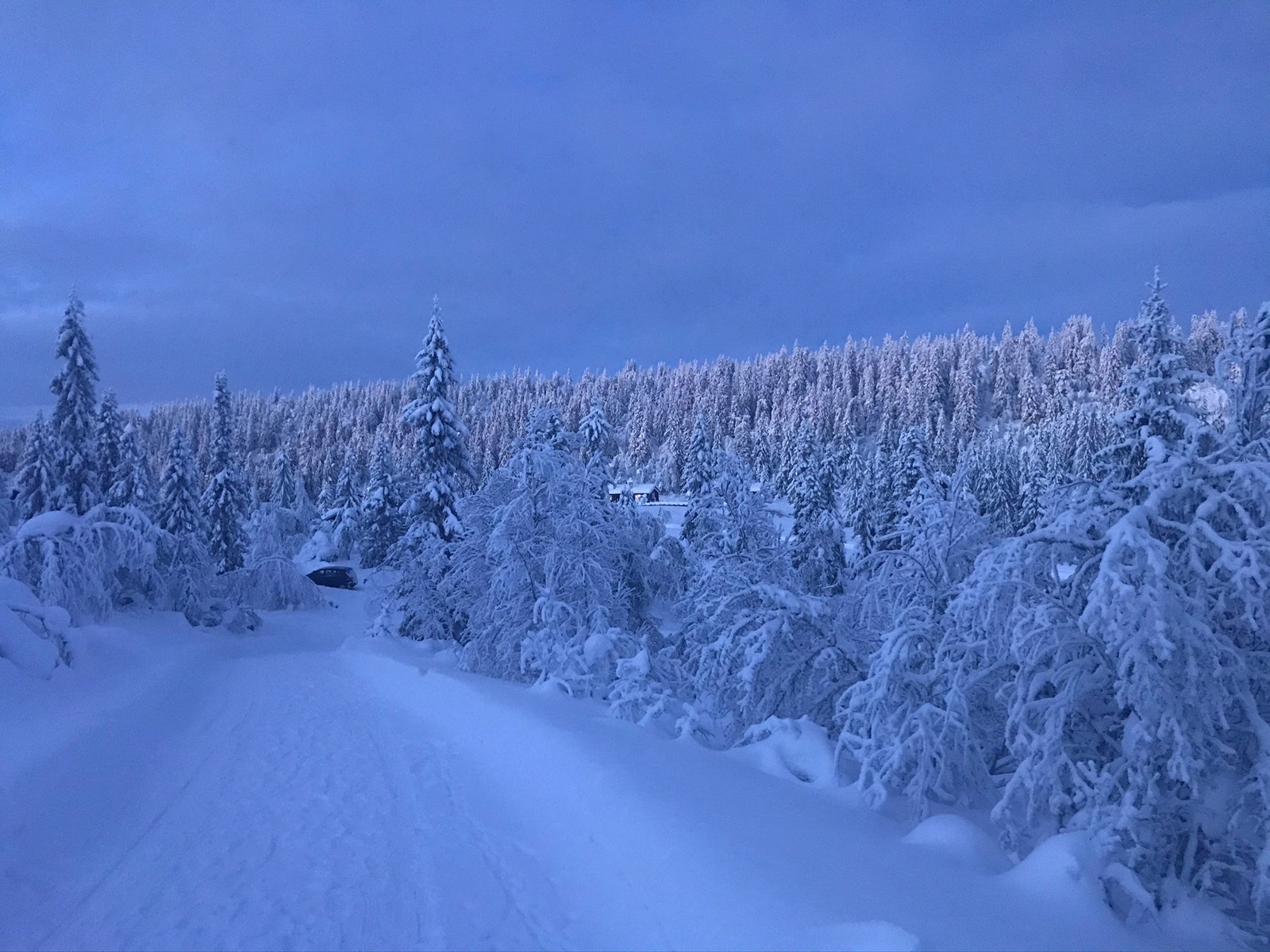 Blåtimen - fint også å gå tur uten ski på veiene i området Galleribilde