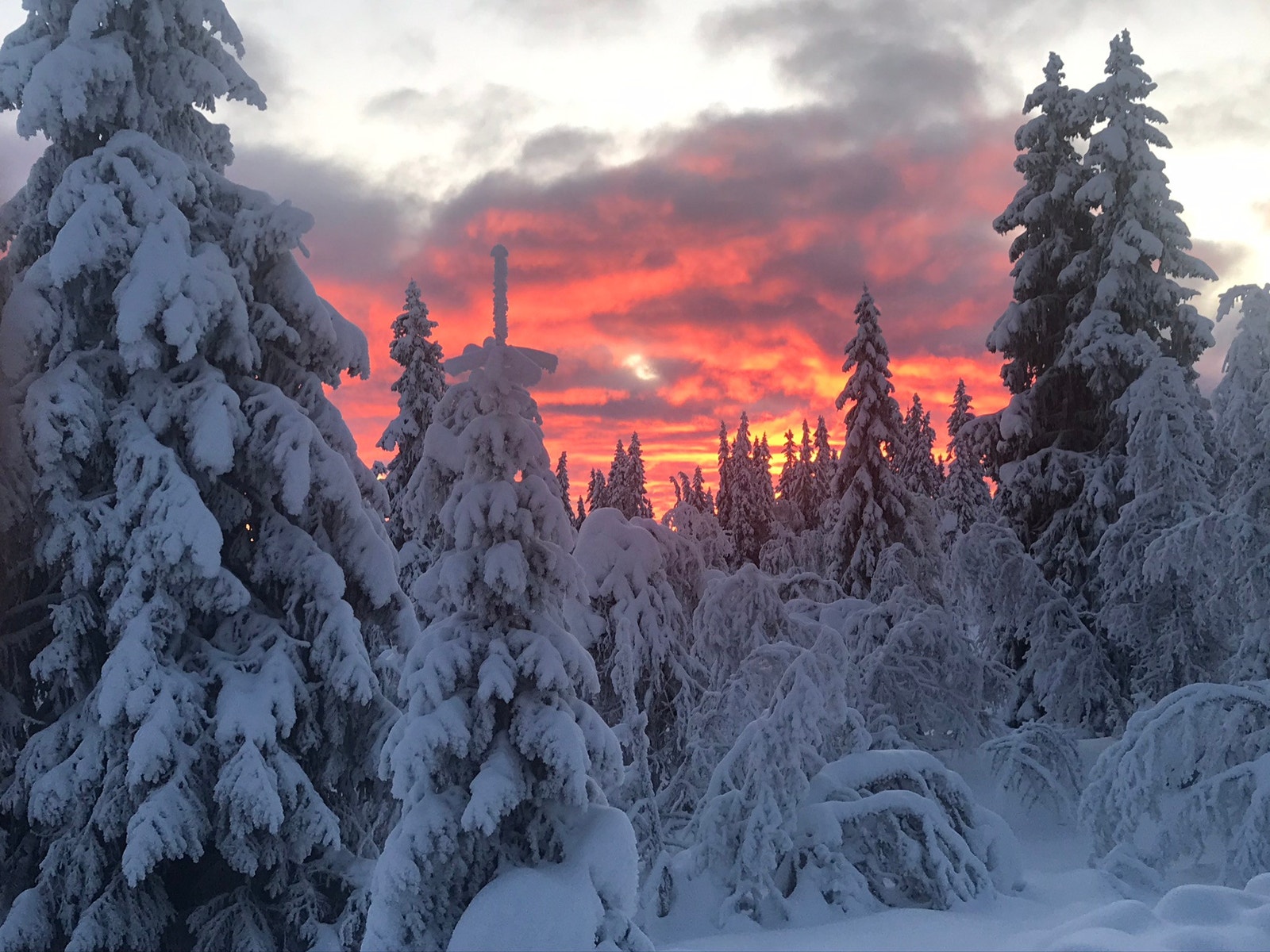 Soloppgang fra stue Galleribilde