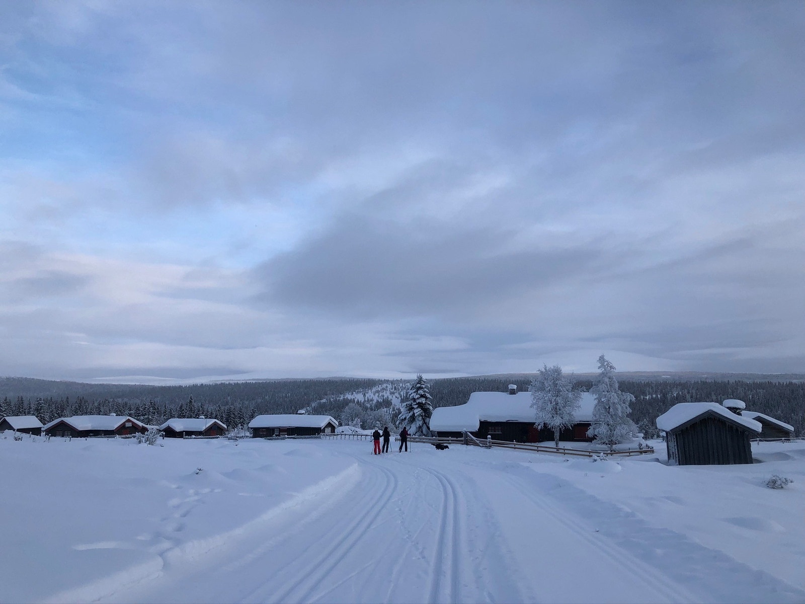 Ut på tur Galleribilde