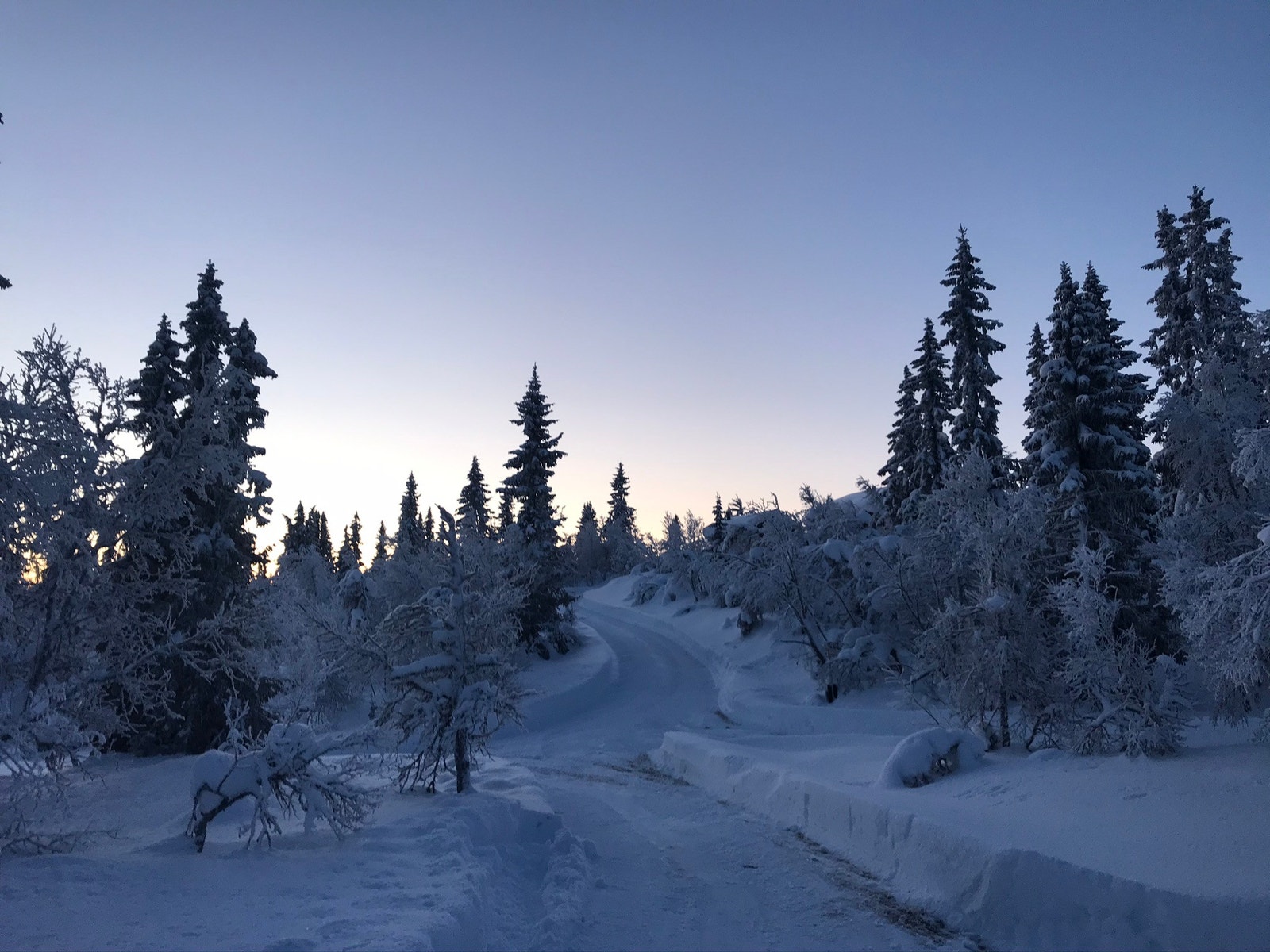 Veien inn til hytta Galleribilde