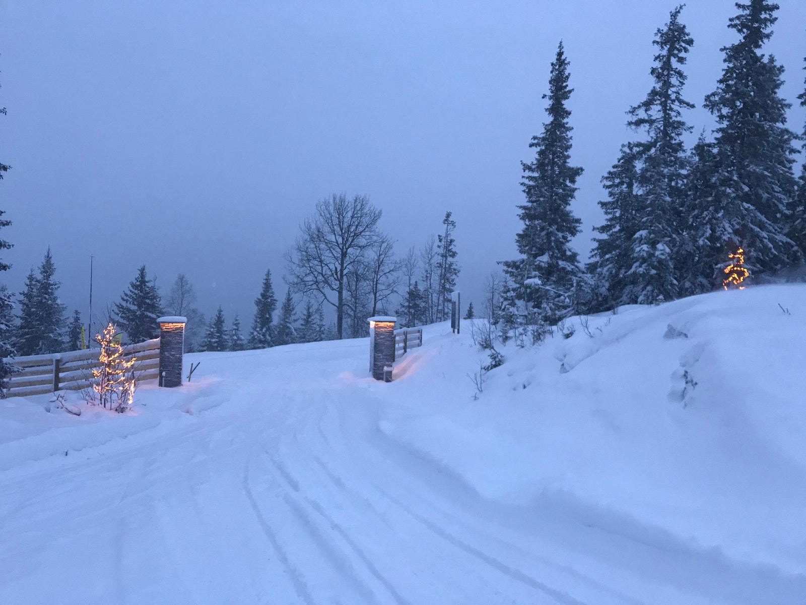 Innkjøring til Seterlia Galleribilde