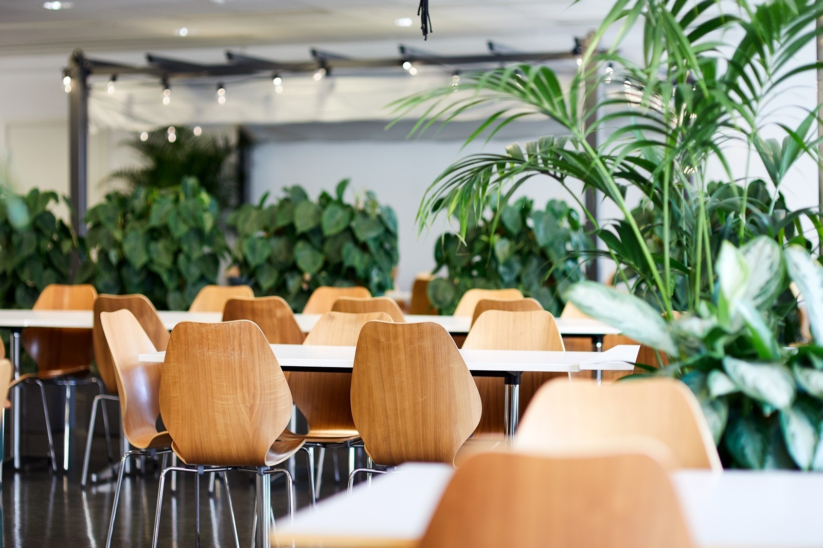 Alle leietakere på Bryn kan nå benytte seg av tre forskjellige personalrestauranter. Galleribilde