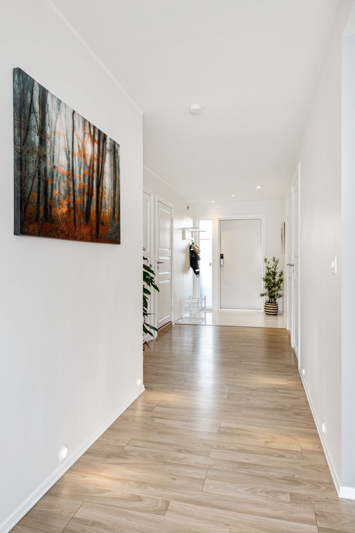 Lys og innbydende gang med downlights nederst på vegg langs gulvet. Galleribilde