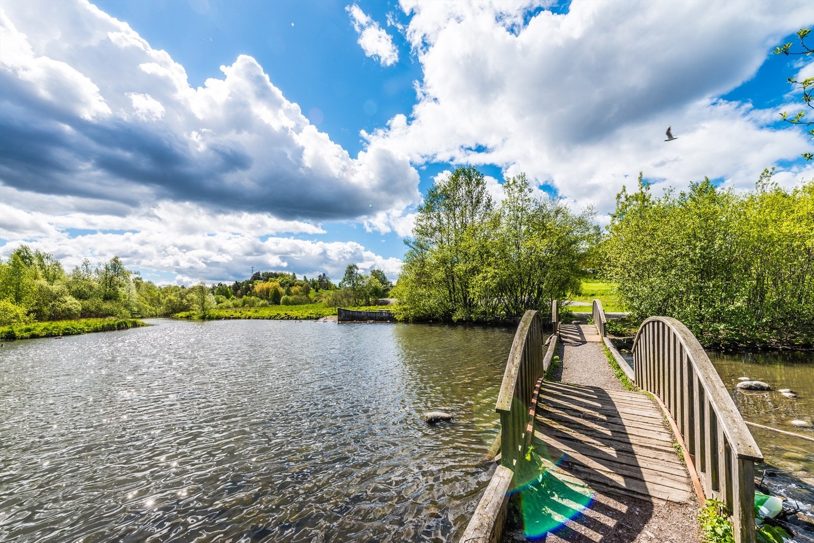 Nærområde Galleribilde