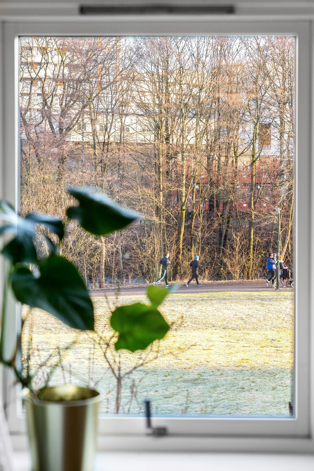 2 av soverommene vender ut mot grøntområde, gang og sykkelsti, samt Akerselva i det fjerne. Galleribilde
