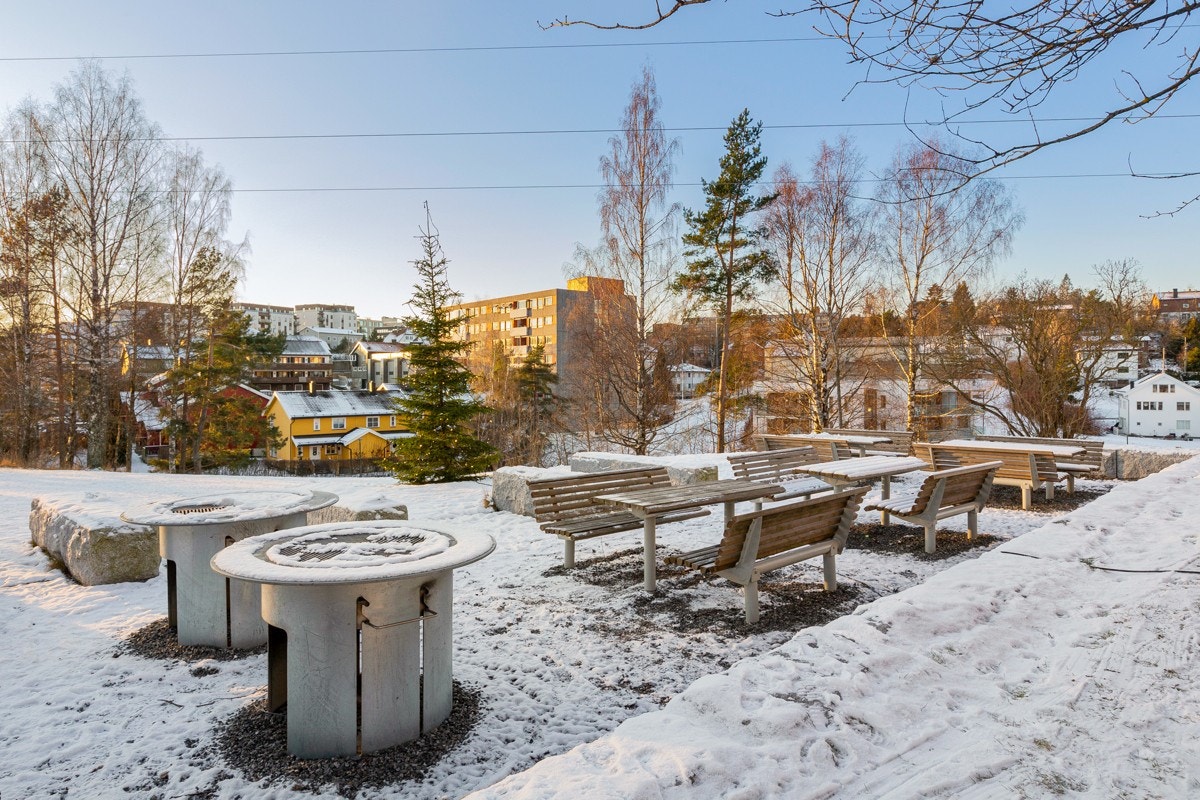 Flott opparbeidet grillsplass. Galleribilde