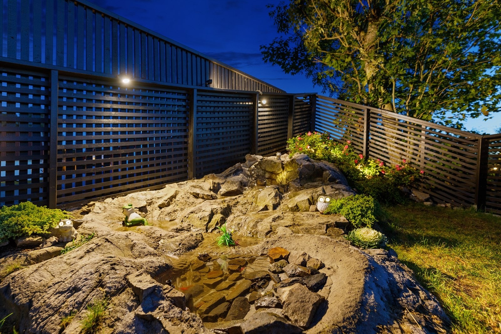 Fiskedam med gullfisk og lite fossefall Galleribilde