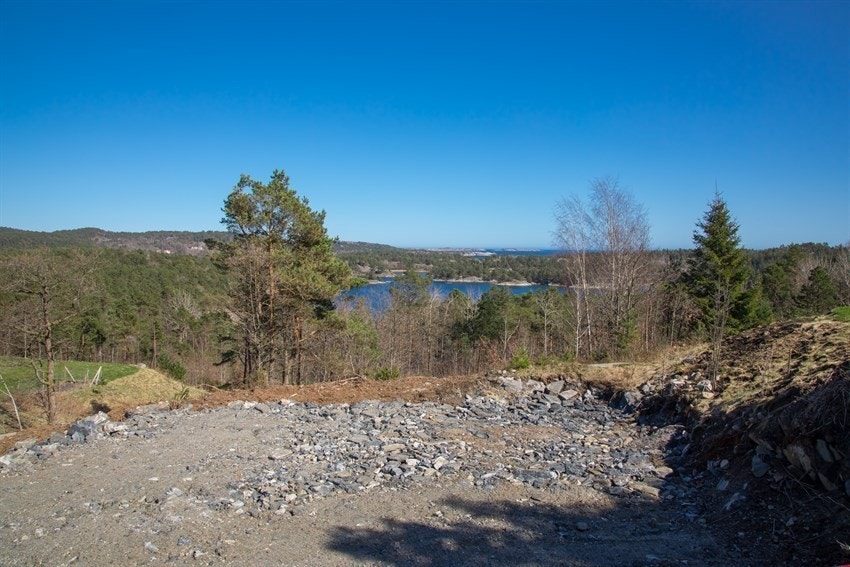 Tomt 6 Galleribilde
