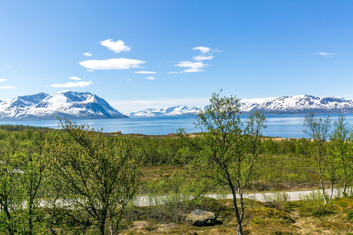 Fantastisk utsikt mot sjøen