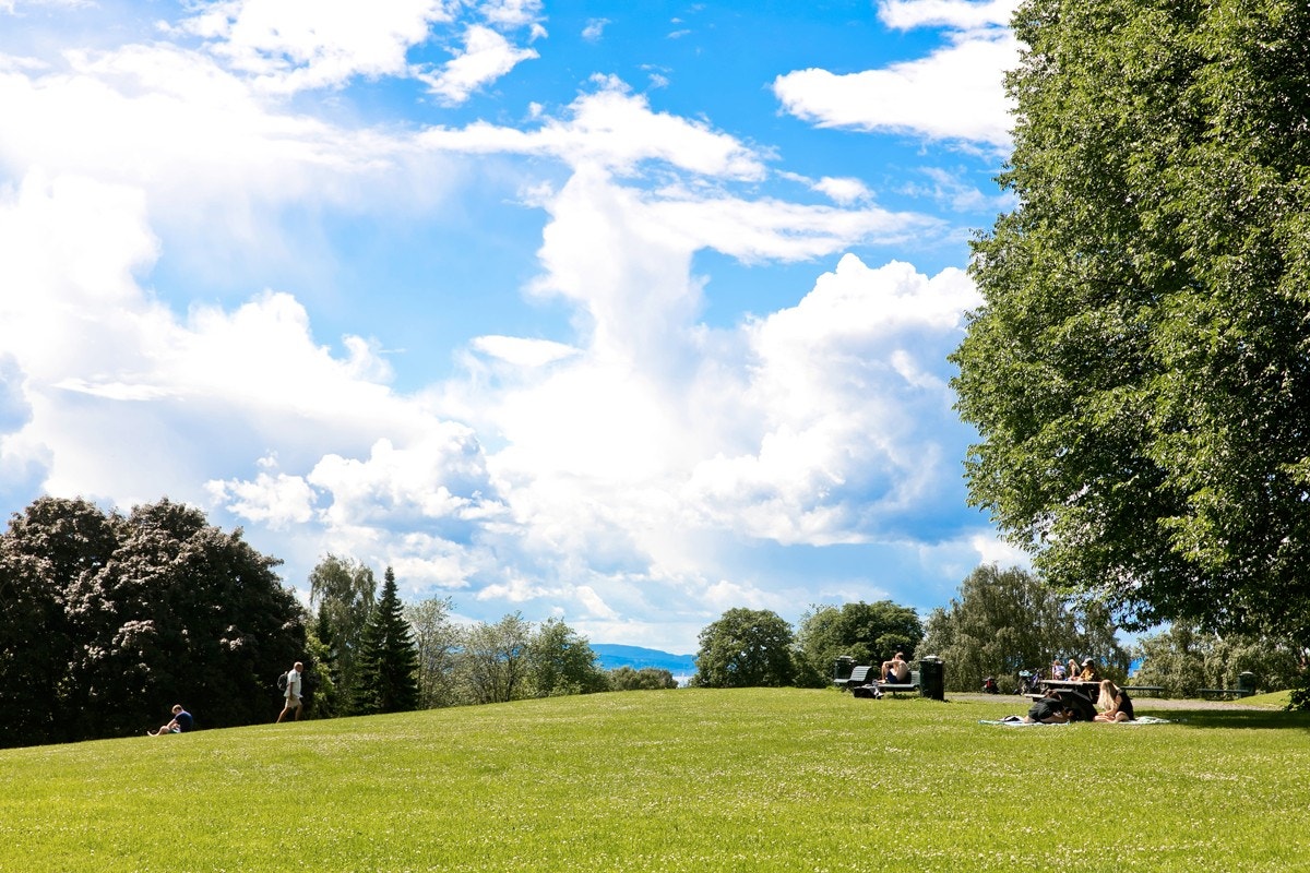 Det er flere hyggelige grøntområder i nærheten, her ved Torshovparken Galleribilde